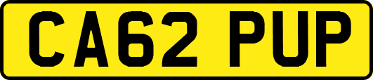 CA62PUP