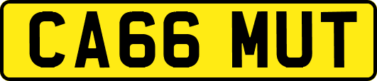 CA66MUT