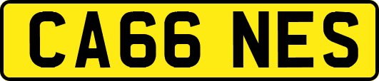 CA66NES