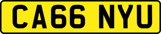 CA66NYU