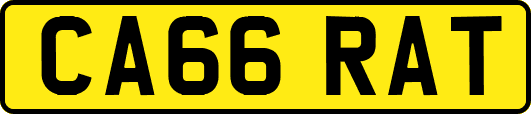 CA66RAT