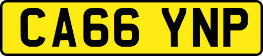 CA66YNP