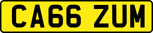 CA66ZUM