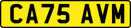 CA75AVM