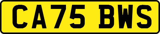 CA75BWS