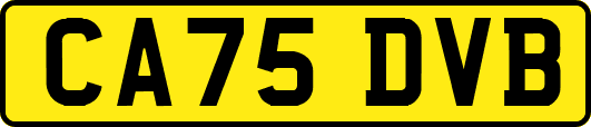 CA75DVB