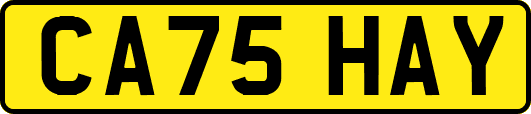 CA75HAY