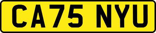 CA75NYU