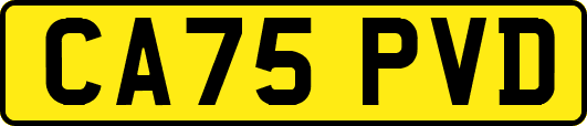 CA75PVD
