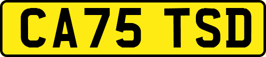 CA75TSD