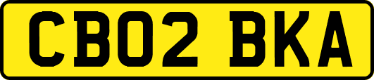 CB02BKA