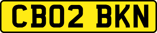 CB02BKN