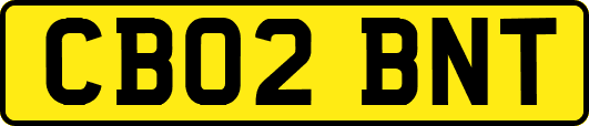CB02BNT