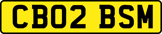 CB02BSM