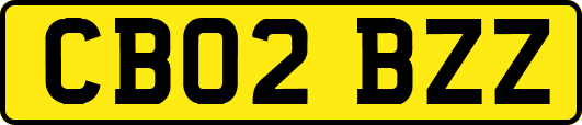 CB02BZZ