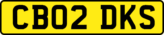 CB02DKS
