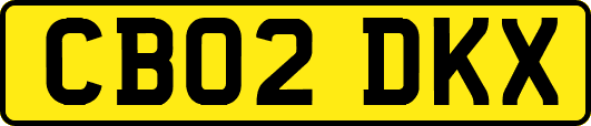 CB02DKX