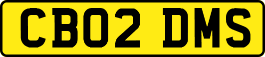 CB02DMS