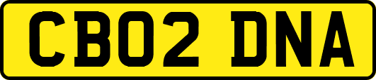 CB02DNA