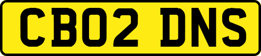 CB02DNS