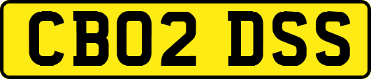 CB02DSS