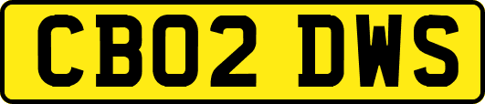 CB02DWS