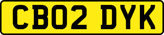 CB02DYK