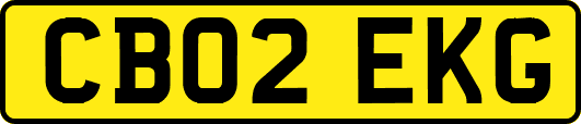 CB02EKG