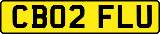 CB02FLU