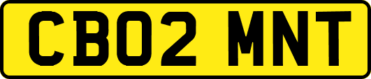 CB02MNT