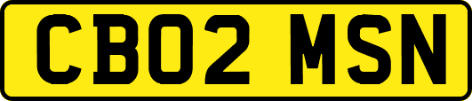 CB02MSN