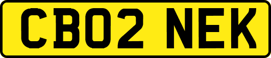 CB02NEK