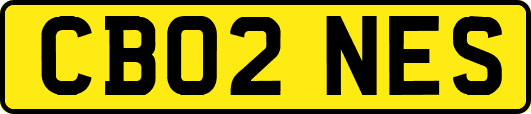 CB02NES