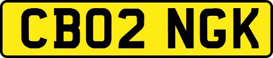 CB02NGK