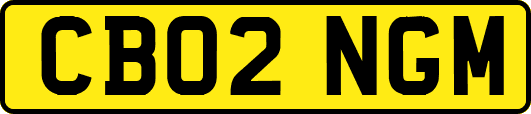 CB02NGM