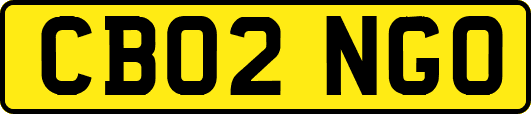 CB02NGO