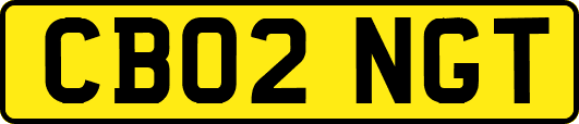 CB02NGT