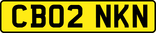 CB02NKN
