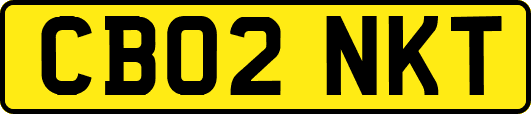 CB02NKT