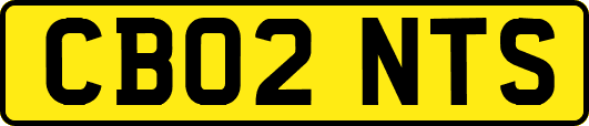 CB02NTS