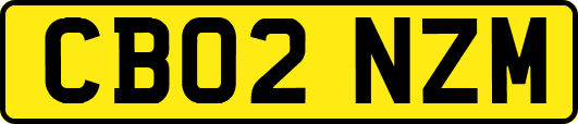 CB02NZM