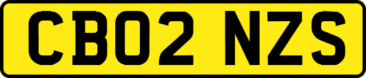 CB02NZS