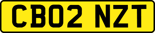 CB02NZT