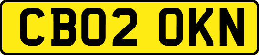 CB02OKN