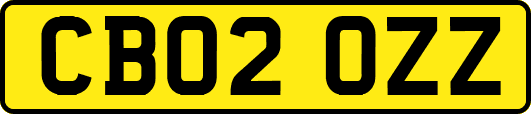 CB02OZZ