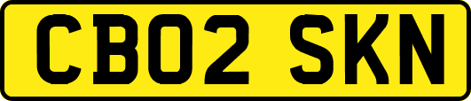 CB02SKN
