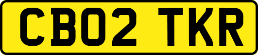 CB02TKR