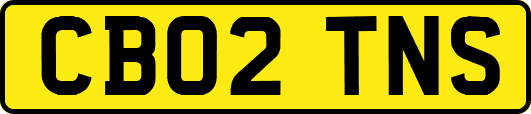 CB02TNS