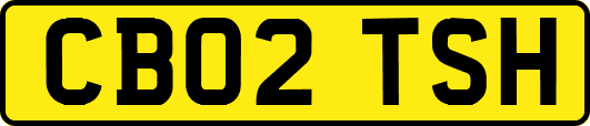 CB02TSH