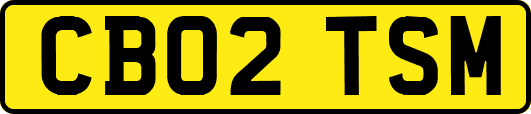 CB02TSM